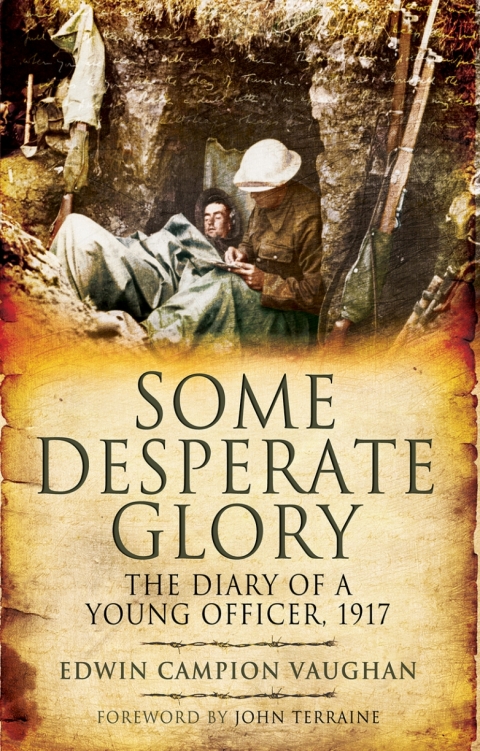 Cover image for book Some Desperate Glory