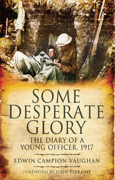 Cover image for book Some Desperate Glory