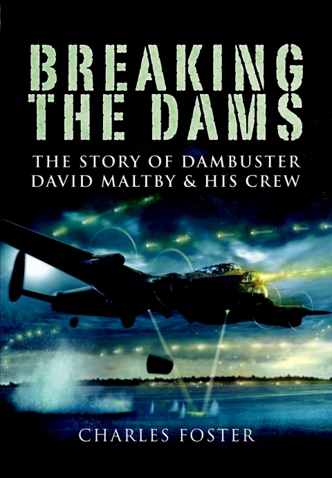 Cover image for book Breaking the Dams