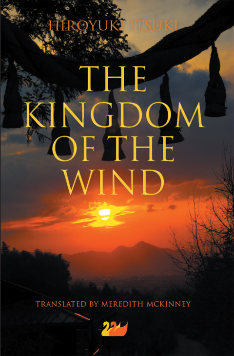 Cover image for book The Kingdom of the Wind