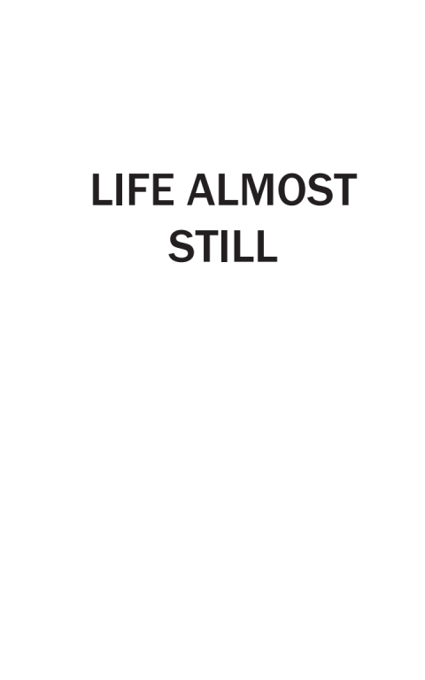 Life Almost Still 