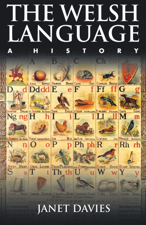 Cover image for book The Welsh Language