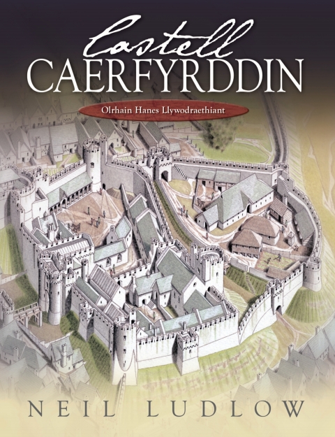Cover image for book Castell Caerfyrddin