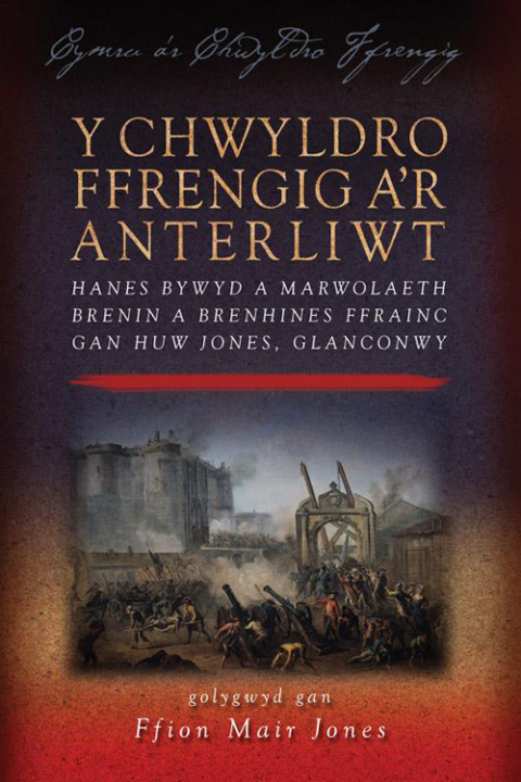 Cover image for book Y Chwyldro Ffrengig a'r Anterliwt