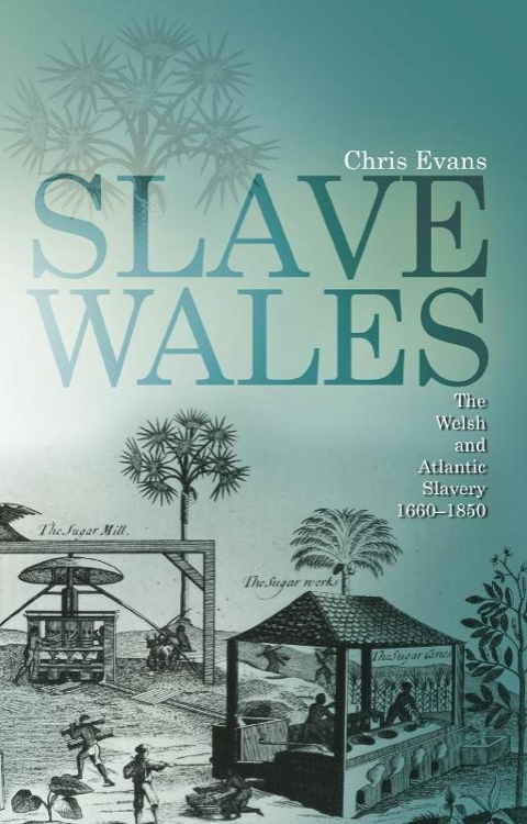 Cover image for book Slave Wales
