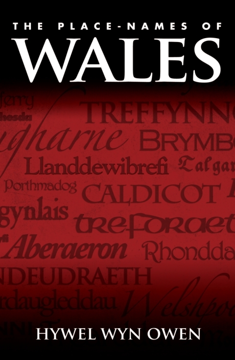 Cover image for book The Place-Names of Wales