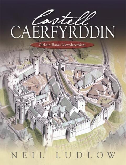 Cover image for book Castell Caerfyrddin