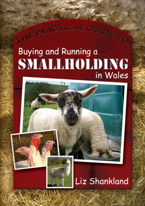 The Practical Guide to Buying and Running a Smallholding in Wales 