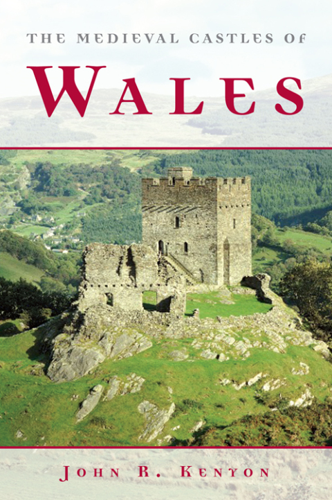 Cover image for book The Medieval Castles of Wales