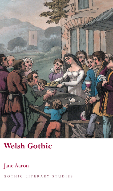 Cover image for book Welsh Gothic