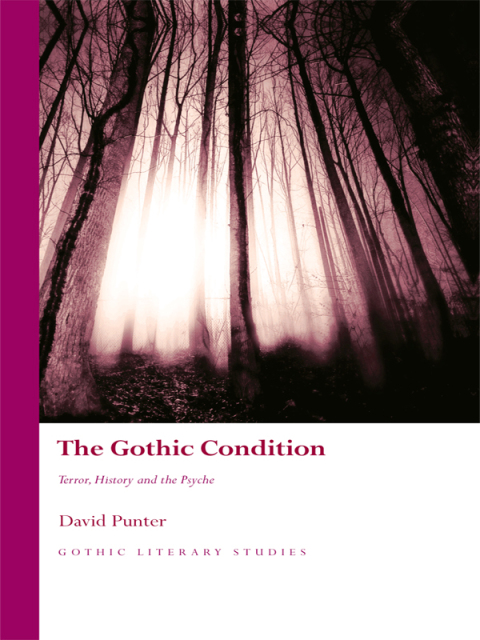 Cover image for book The Gothic Condition