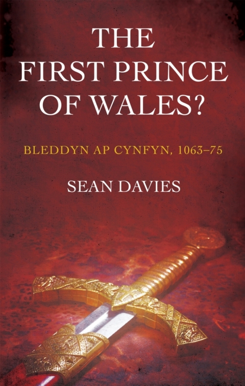 Cover image for book The First Prince of Wales?