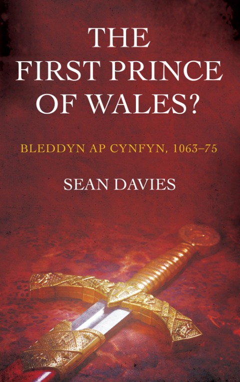 Cover image for book The First Prince of Wales?
