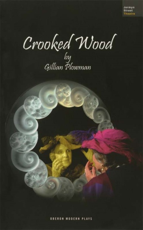 Cover image for book Crooked Wood