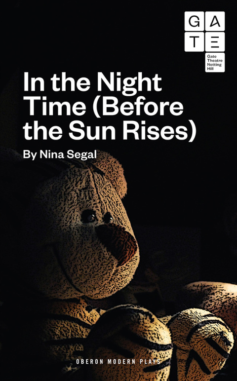 Cover image for book In the Night Time (Before the Sun Rises)