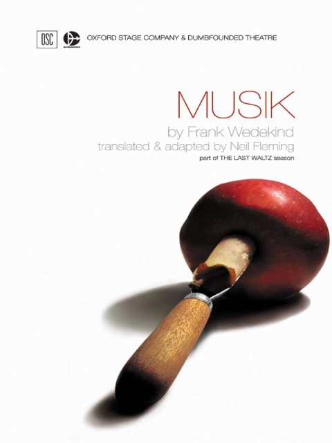 Cover image for book Musik