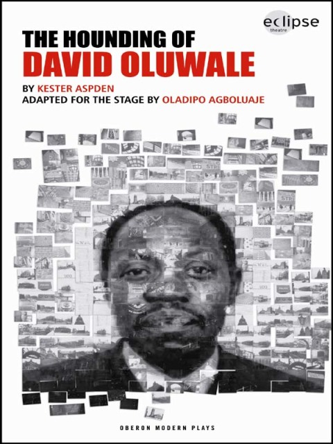 Cover image for book The Hounding of David Oluwale