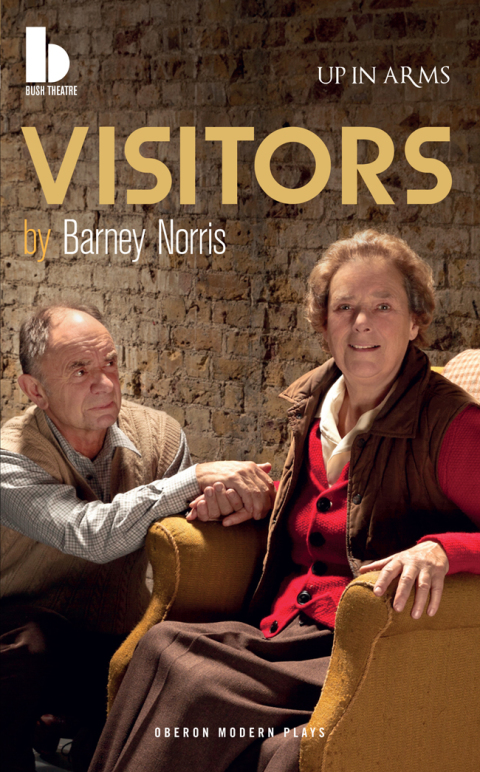 Cover image for book Visitors