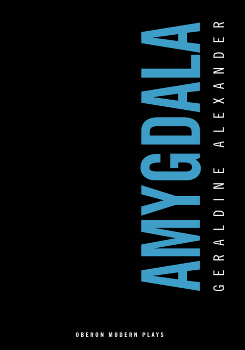 Cover image for book Amygdala