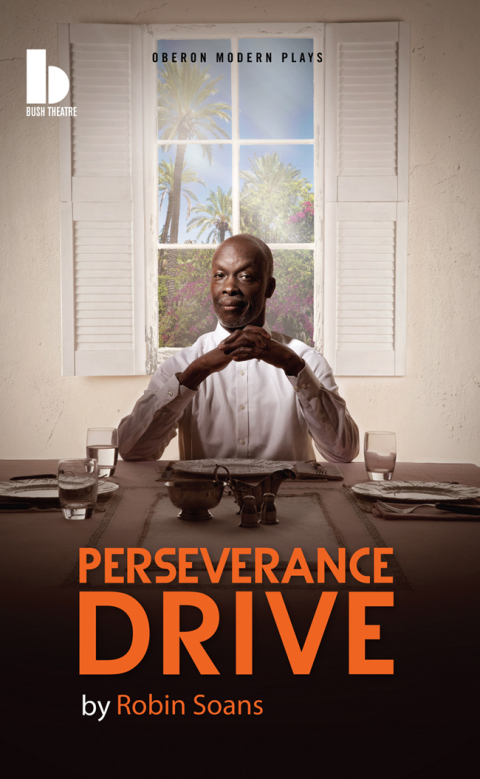 Cover image for book Perseverance Drive
