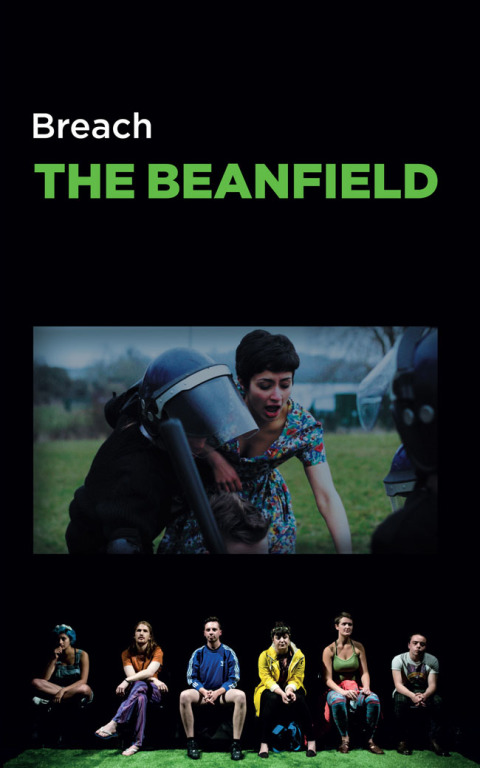 Cover image for book The Beanfield
