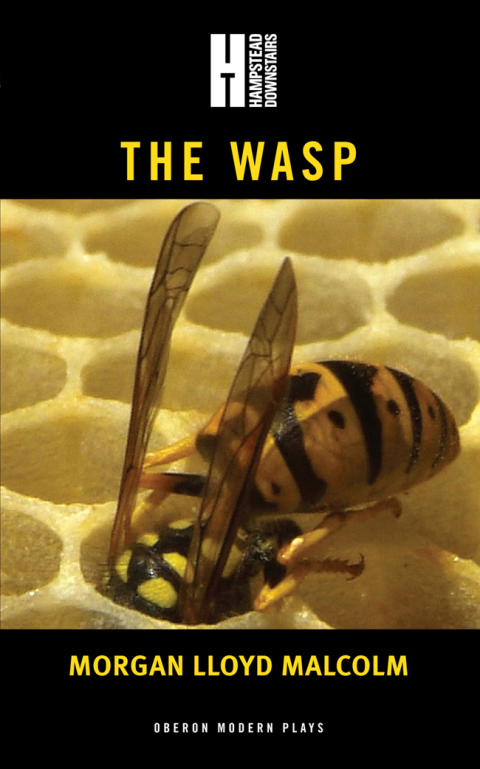 Cover image for book The Wasp