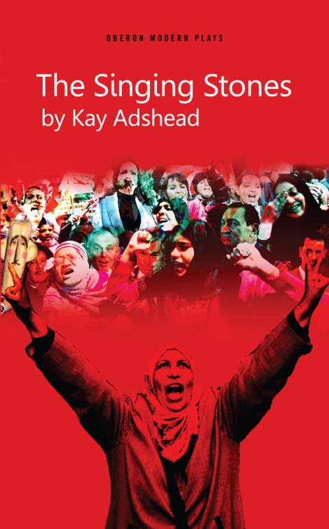 Cover image for book The Singing Stones