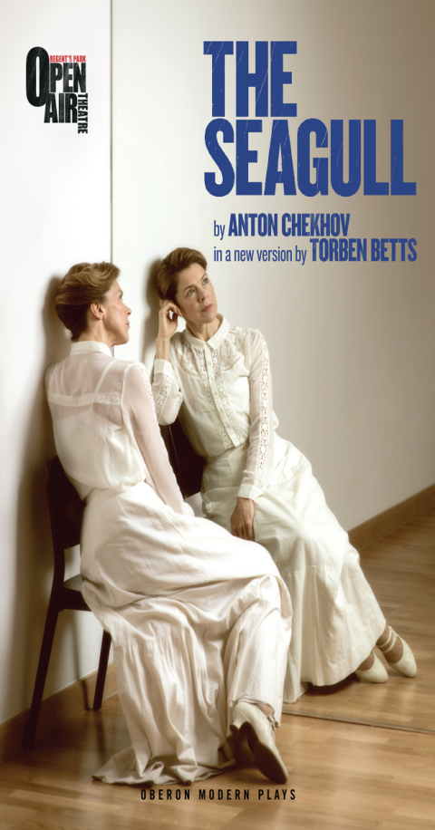 Cover image for book The Seagull