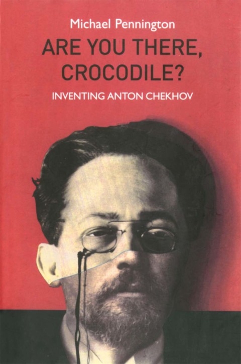 Cover image for book Are You There, Crocodile?