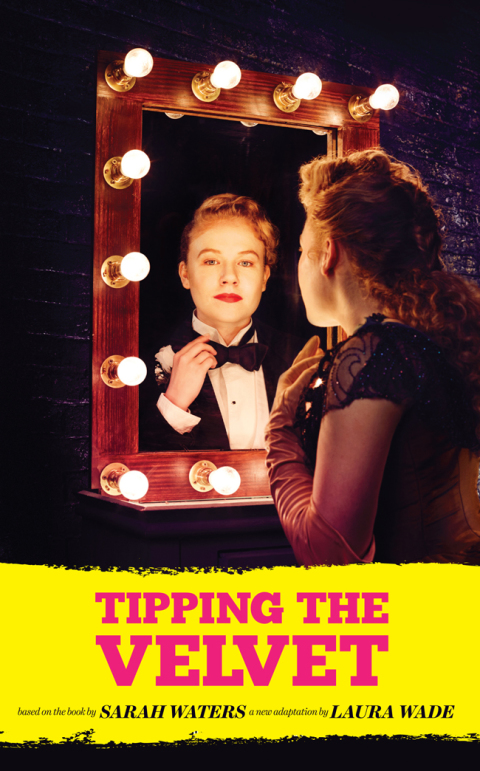 Cover image for book Tipping the Velvet