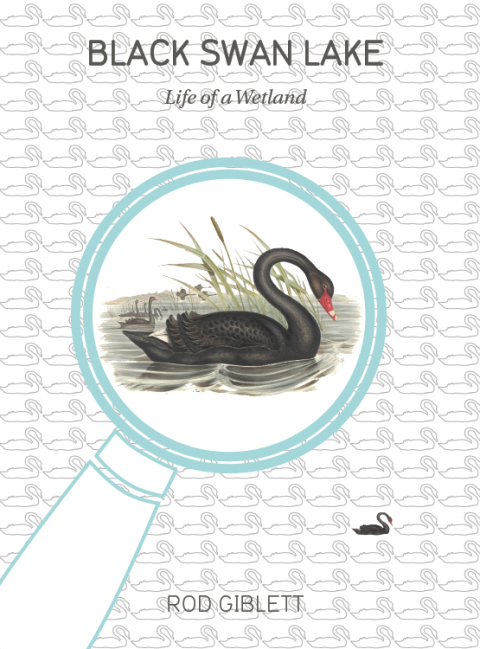 Cover image for book Black Swan Lake