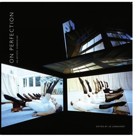 Cover image for book On Perfection