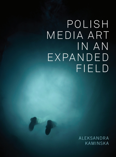 Cover image for book Polish Media Art in an Expanded Field