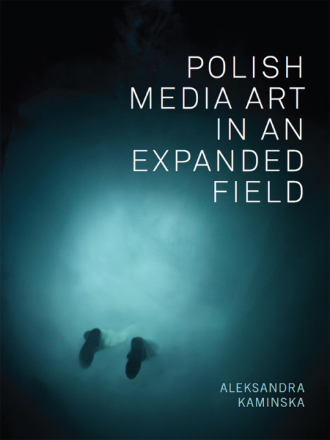 Cover image for book Polish Media Art in an Expanded Field