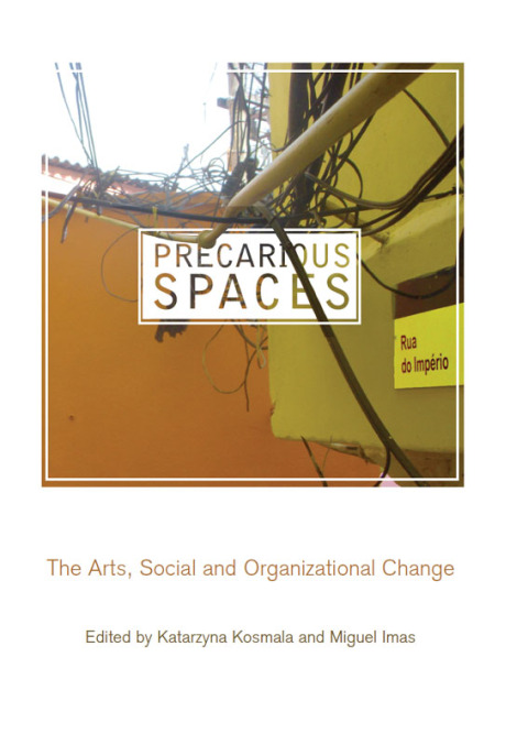 Cover image for book Precarious Spaces