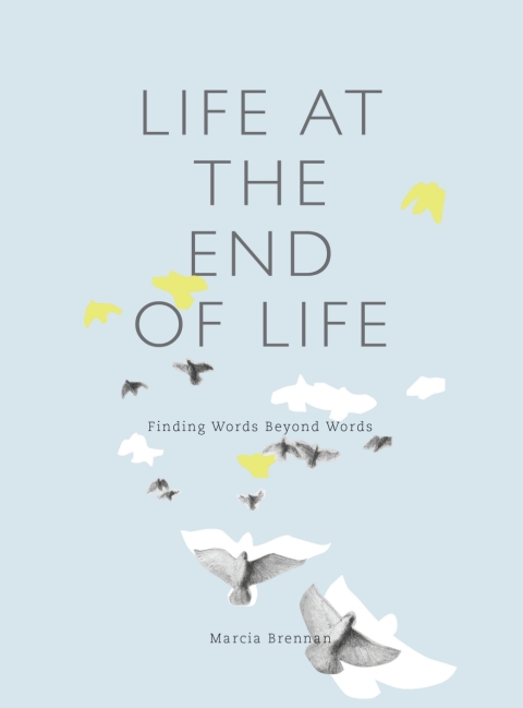 Cover image for book Life at the End of Life