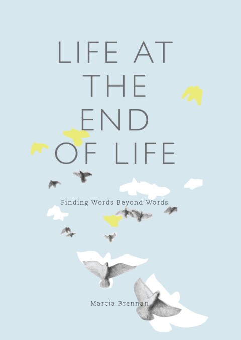 Cover image for book Life at the End of Life