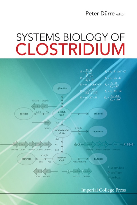 Cover image for book Systems Biology of Clostridium