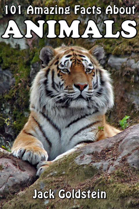 Cover image for book 101 Amazing Facts About Animals