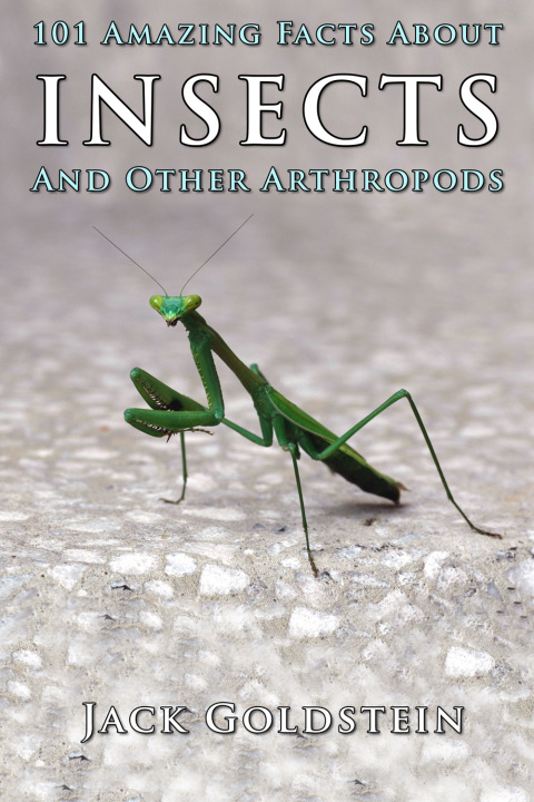 Cover image for book 101 Amazing Facts About Insects