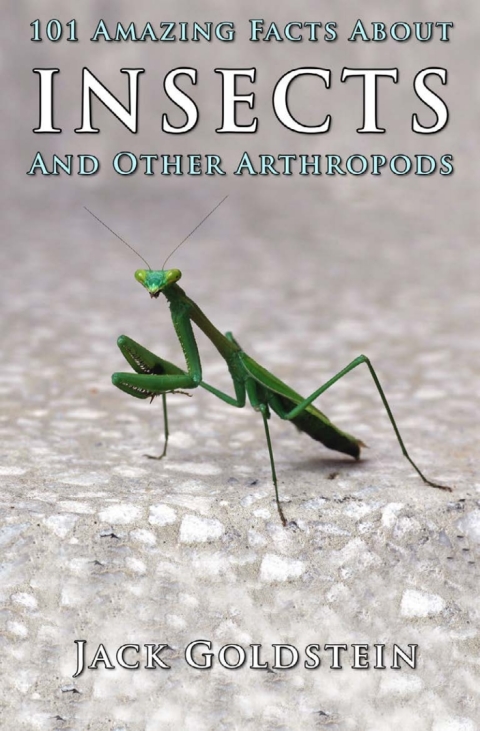 Cover image for book 101 Amazing Facts About Insects