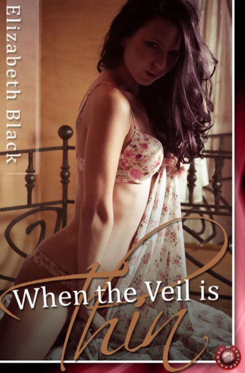 Cover image for book When The Veil Is Thin
