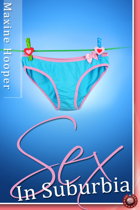 Cover image for book Sex in Suburbia
