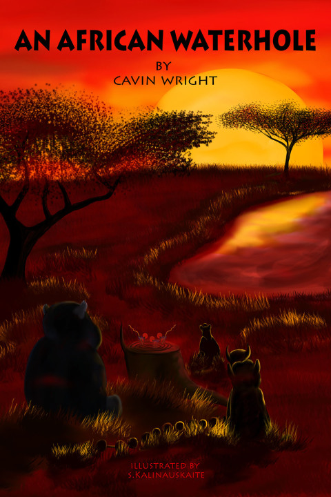 Cover image for book An African Waterhole