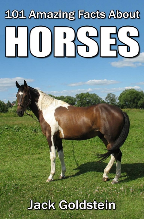 Cover image for book 101 Amazing Facts about Horses