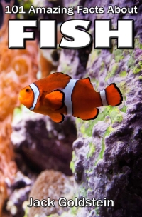 Cover image: 101 Amazing Facts about Fish 1st edition 9781783331260