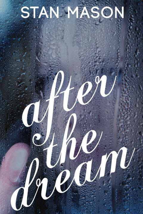 Cover image for book After the Dream