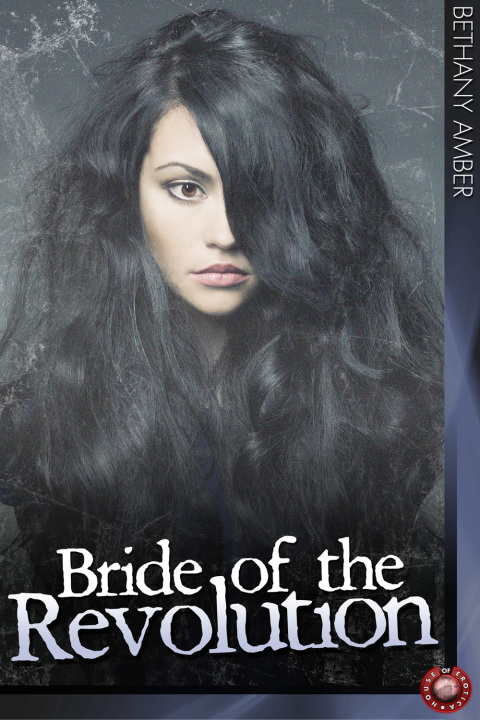 Cover image for book Bride of the Revolution