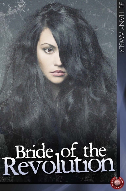 Cover image for book Bride of the Revolution