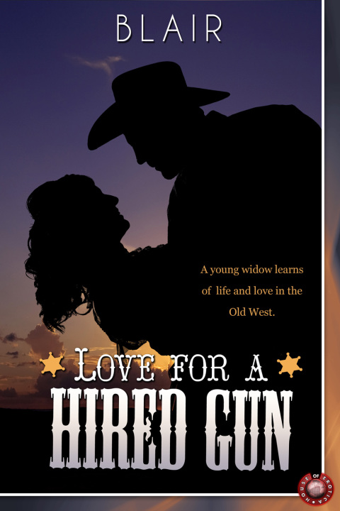 Cover image for book Love for a Hired Gun